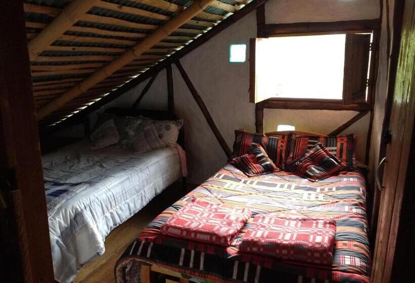 اتاق استاندارد با 2 تخت دوبل, Casa Annunakis