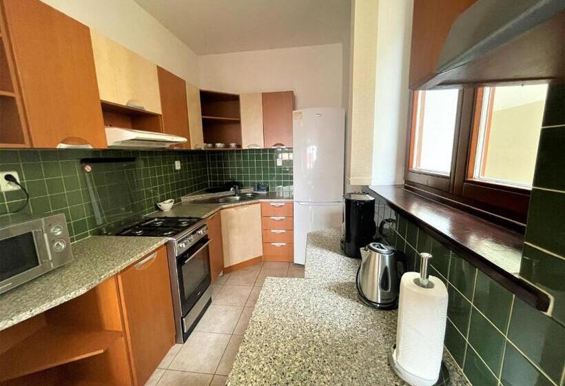 Апартаменты Deluxe 1 Спальня, Tatransky Dom Sk