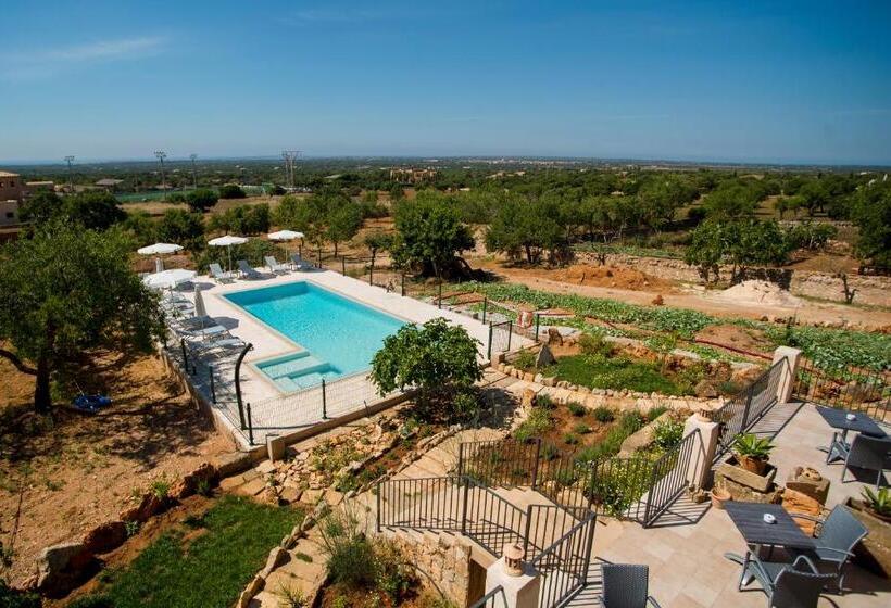 수피리어 룸, Agroturismo Sa Marina