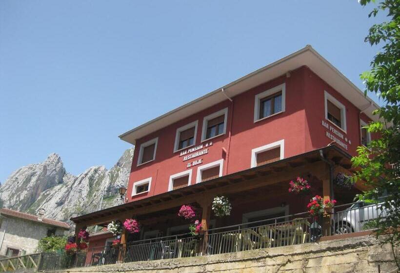 스탠다드 룸, Hostal El Duje