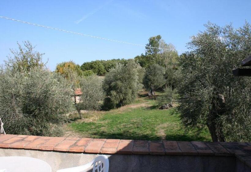 Номер Стандарт, Antico Casale Pozzuolo