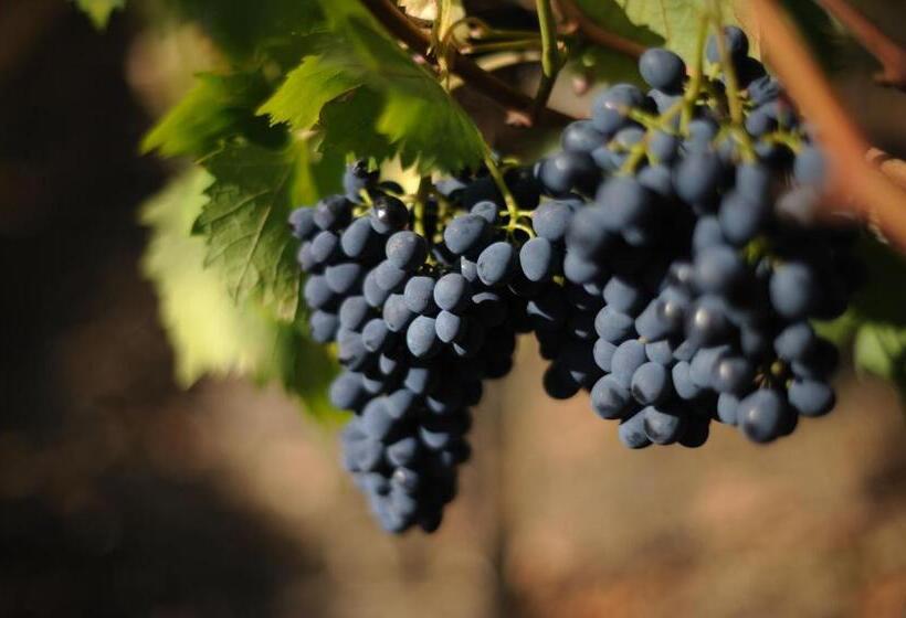 Апартаменты 2 Спальни, Agriturismo Tenuta Conti Faina