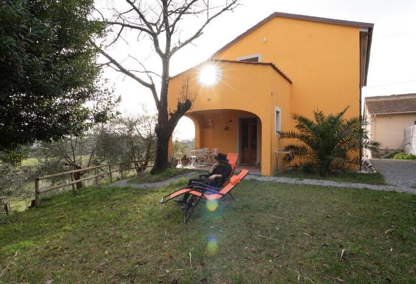 Апартаменты 1 Спальня с Террасой, Agriturismo La Pineta