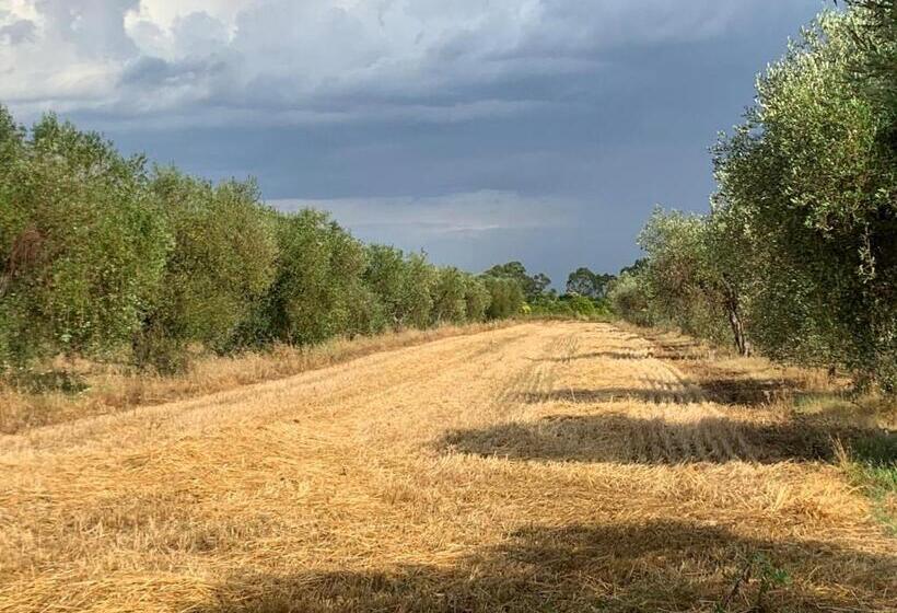 آپارتمان 1 خوابه, Agriturismo Beveraggio