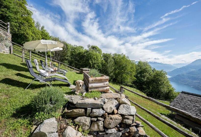 اتاق استاندارد, Agriturismo Da Attilio