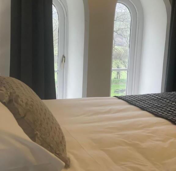 Номер Deluxe Кровать Кинг, Caemorgan Mansion