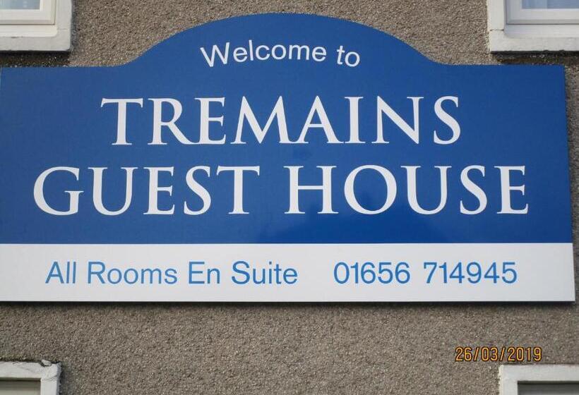 Номер Стандарт Адаптированный для Инвалидов, Tremains Guest House