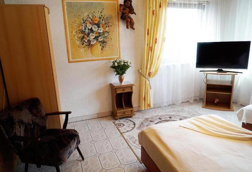 스탠다드 룸, Top Hotel Edingen