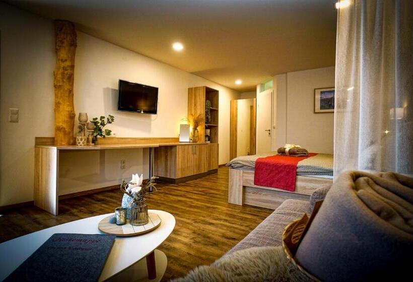 Номер Стандарт, Pension Carlbauer