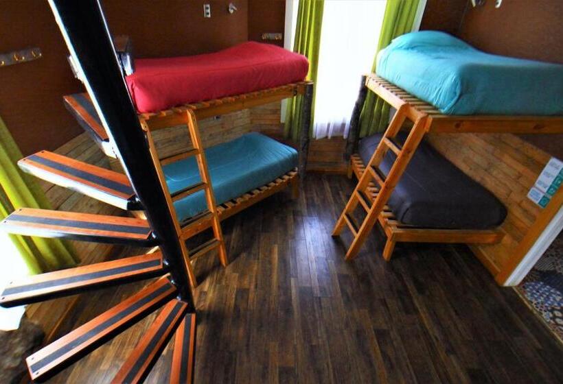 تختخواب در اتاق مشترک, Corner Hostel Puerto Natales