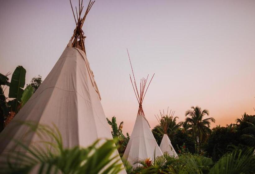 Standard Tent, Wigwam