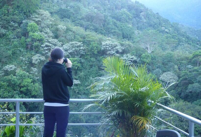 스탠다드 룸, Hostal Alto De La Montaña