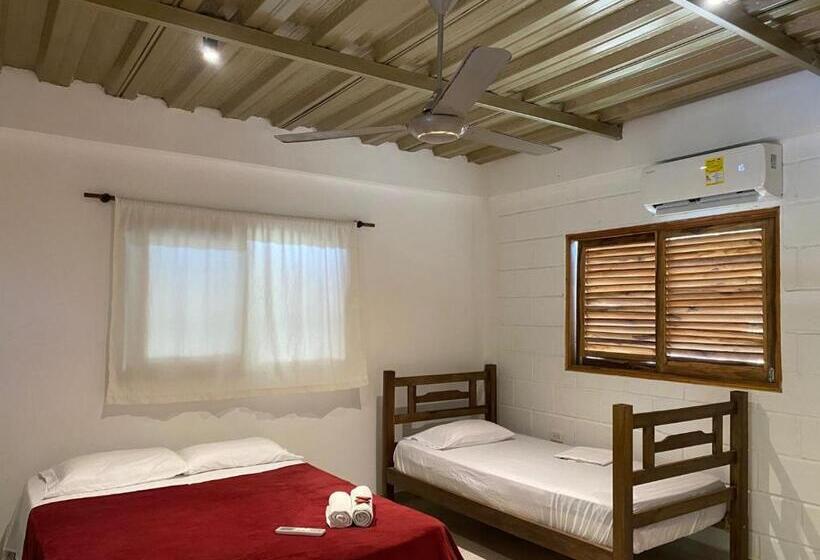 디럭스 4인 룸, Bao Bao Hostel