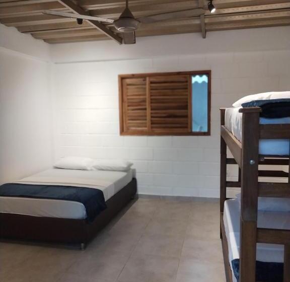 디럭스 4인 룸, Bao Bao Hostel