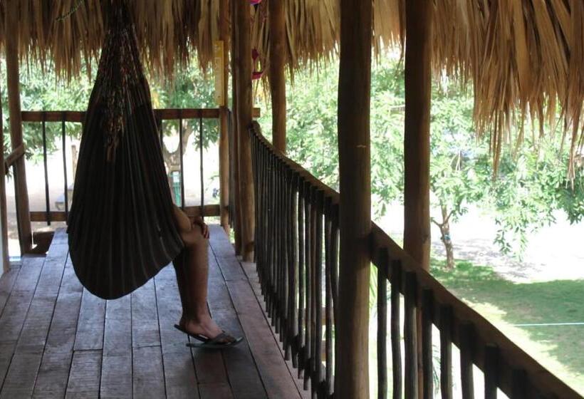 4인용 스탠다드 룸, Bao Bao Hostel