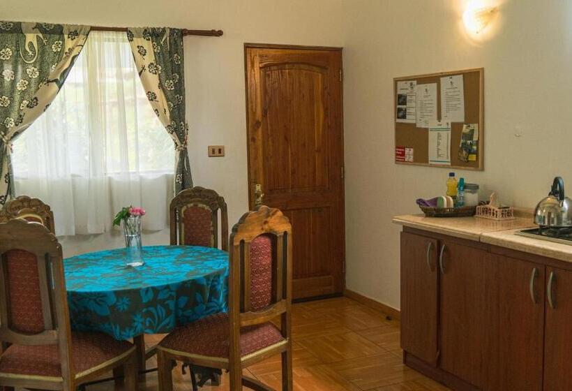 Четырехместный Номер Стандарт Вид на Сад, Hostal Y Cabañas Aorangi