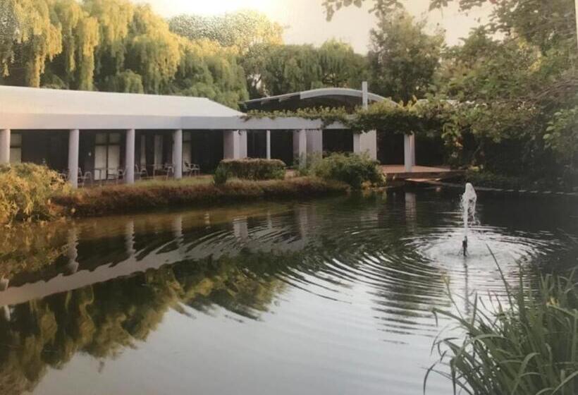اتاق لوکس, Willow Place Guest House