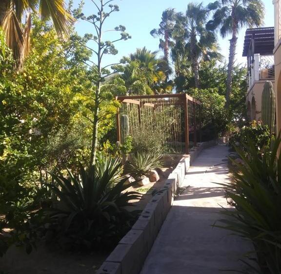 デラックススタジオ, Coco Cabañas And Casitas Vacation Rentals