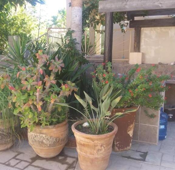２ベッドルームアパートメント, Coco Cabañas And Casitas Vacation Rentals