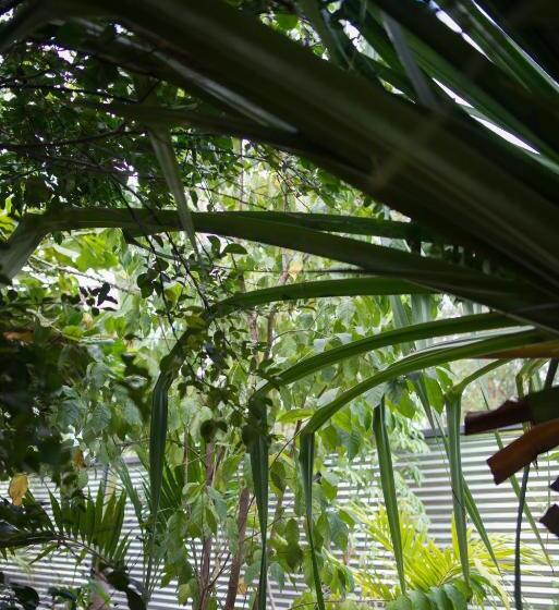 Apartamento 1 Dormitório com Sacada, Tamarindo Sunshine