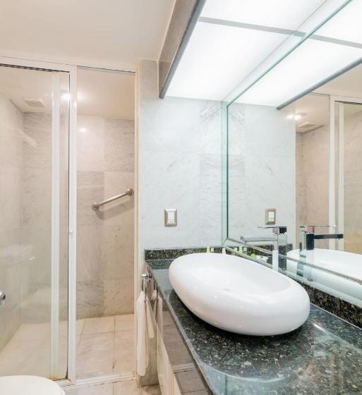 １ベッドルームアパートメント, Grand Chapultepec Residencial
