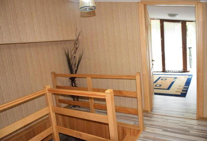 اتاق استاندارد با چشم‌انداز کوهستان, Guest House Ilto