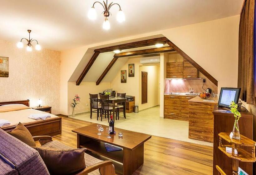 استودیوی لوکس, Apart Hotel Rosen