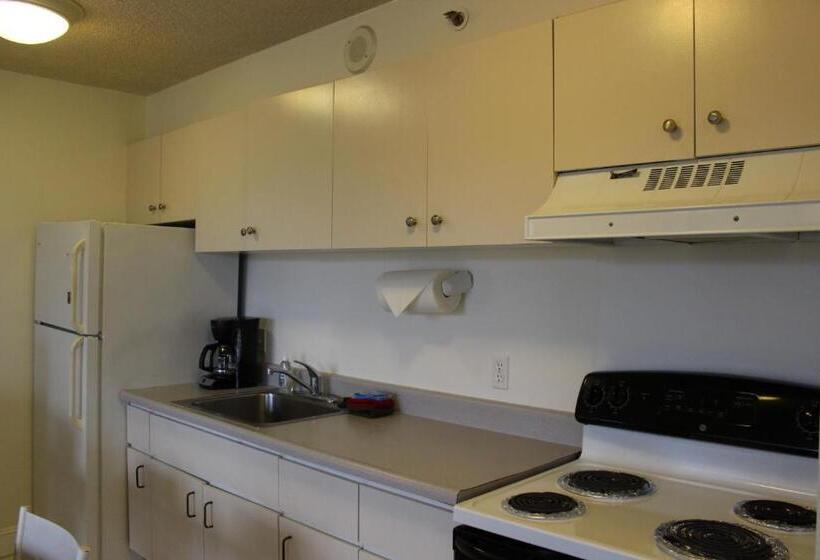 Apartamento 1 Dormitório com Terraço, Ponoaloha
