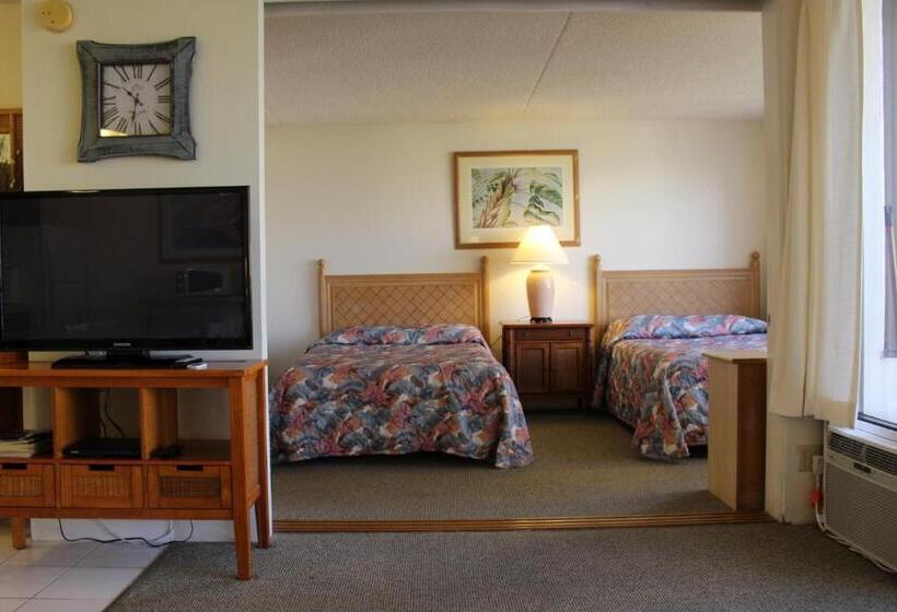 Apartamento 1 Dormitório com Sacada, Ponoaloha