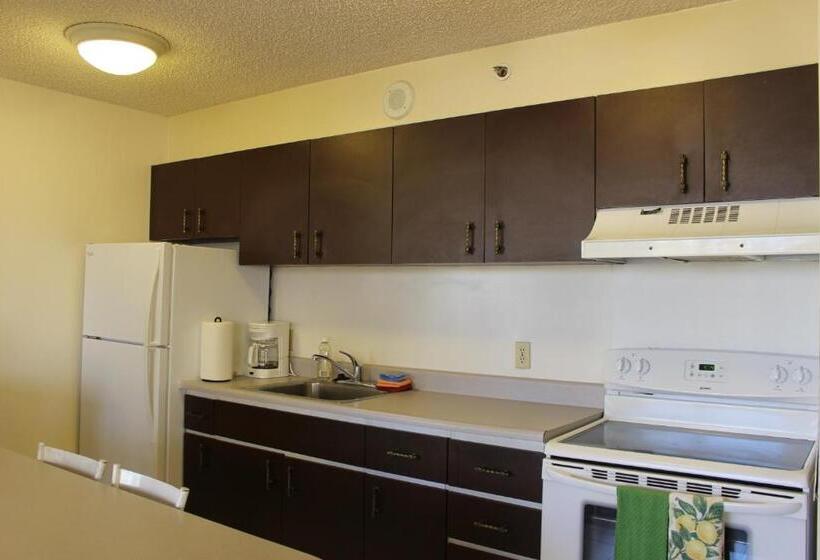 Apartamento 1 Dormitório com Sacada, Ponoaloha