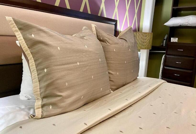 Люкс Повышенной Комфортности, Culpeper Center Suites