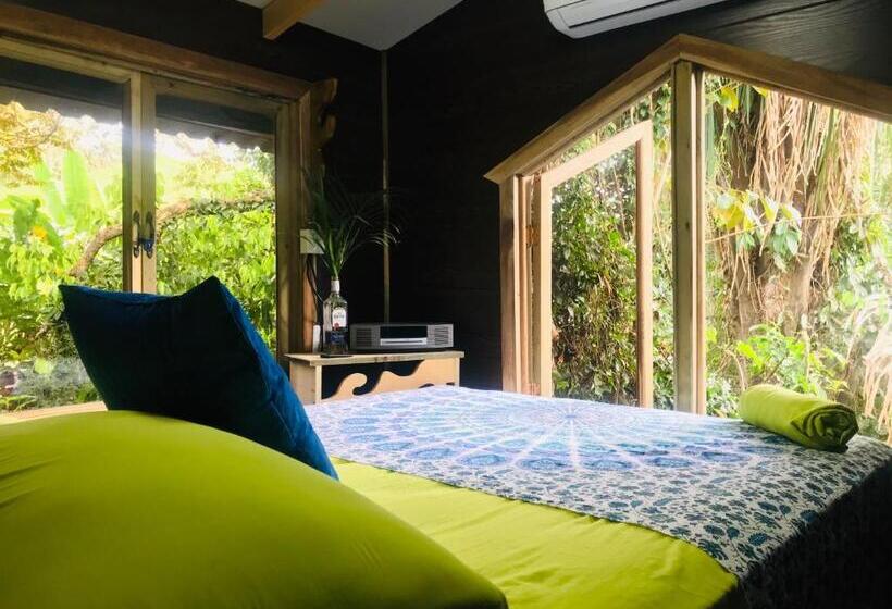 استودیو استاندارد با چشم‌انداز باغ, Guest House Pura Vida