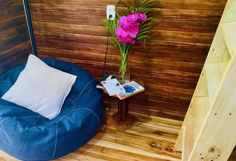 استودیوی لوکس, Guest House Pura Vida
