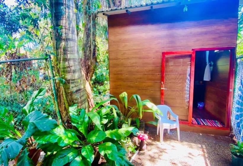 ویلای استاندارد با چشم‌انداز باغ, Guest House Pura Vida