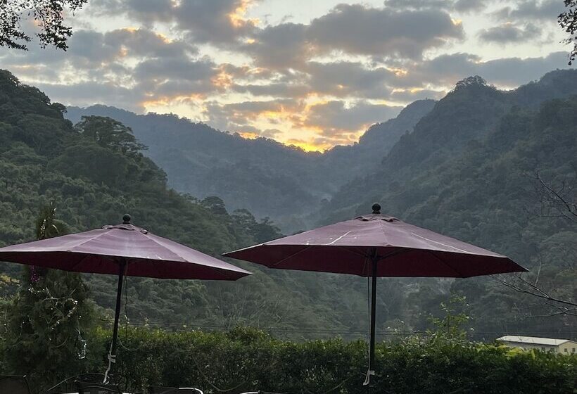 اتاق خانوادگی, Bo Zho Villa