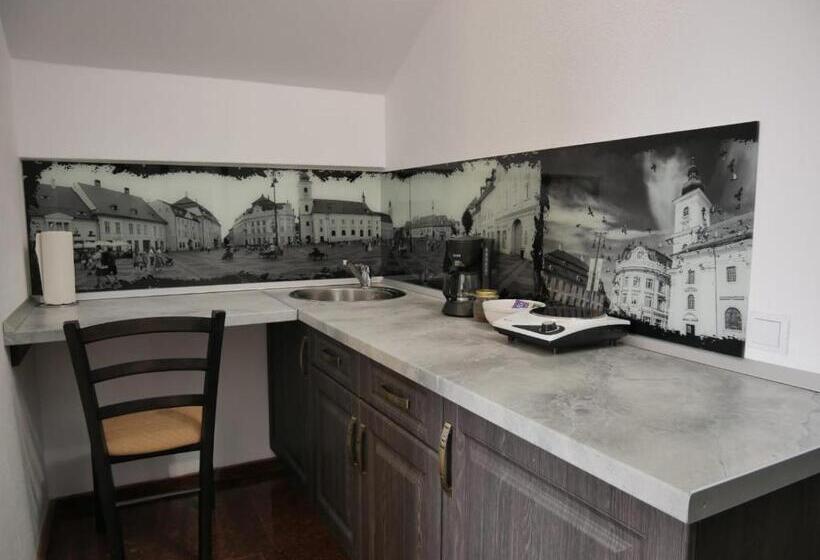 اتاق سوپریور, Sibiu City Center Apartments