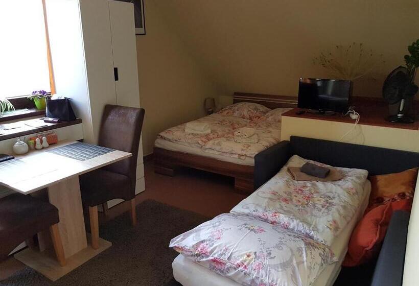 Standard Studio, Guest House Sherpa