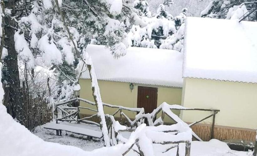 اتاق استاندارد, Popock Dilijan 1