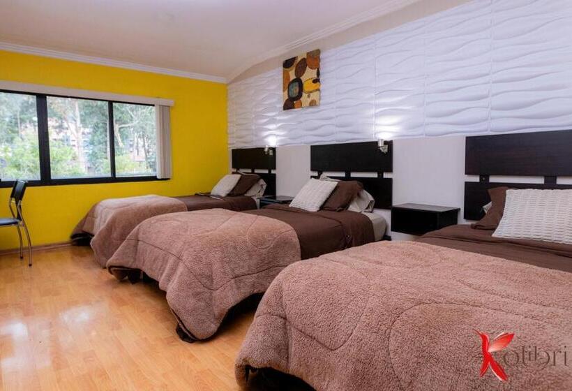 חדר דלוקס לשלושה, Hostal Kolibri B&b
