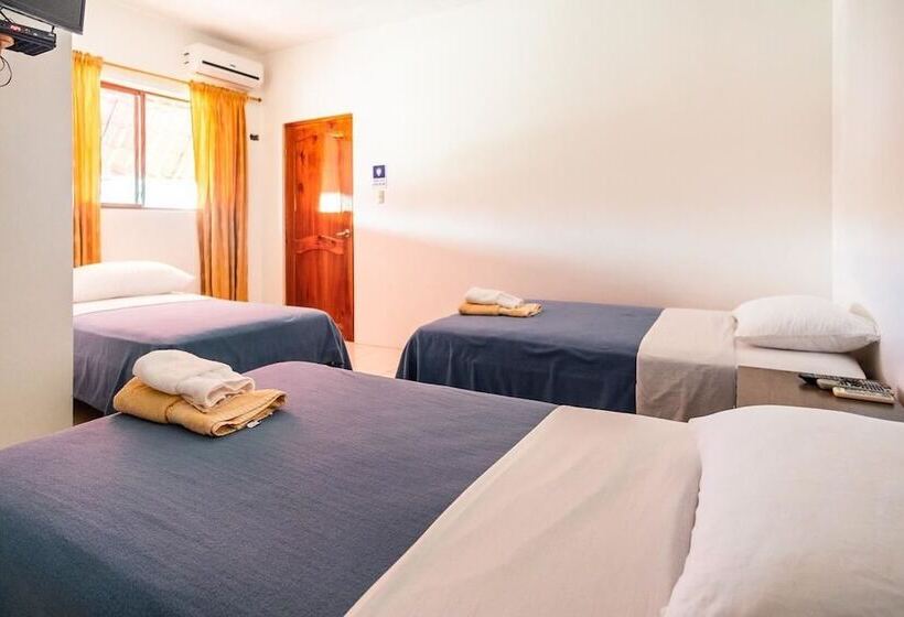 スタンダードトリプルルーム, Hostal Tongo Reef
