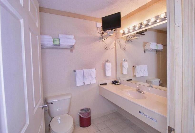 Suíte com Hidromassagem, Paddle Wheel Inn