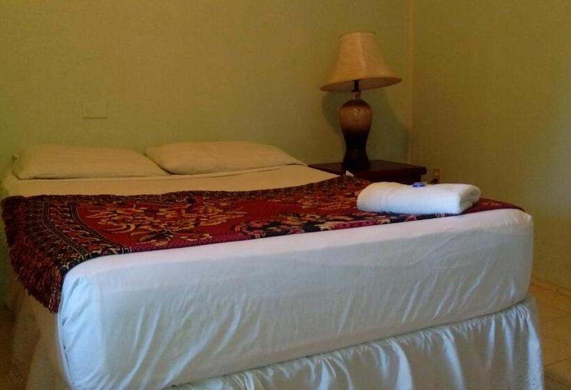 اتاق استاندارد, Don Santiago Guesthouse Downtown