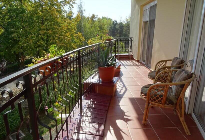 آپارتمان 2 خوابه با بالکن, Club Topaz Apartments