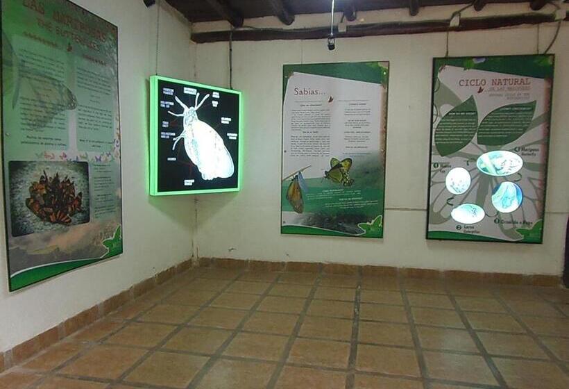 Номер Стандарт, Hostal Pablo S House