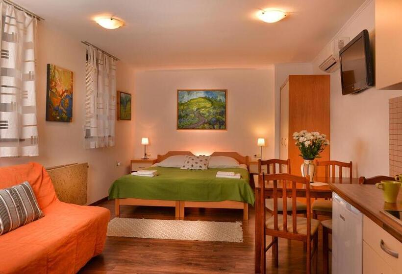 استودیوی استاندارد, Guesthouse Les