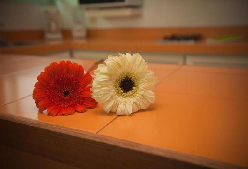 Deniz Manzaralı 1 Yatak Odalı Daire, Banderas Suites