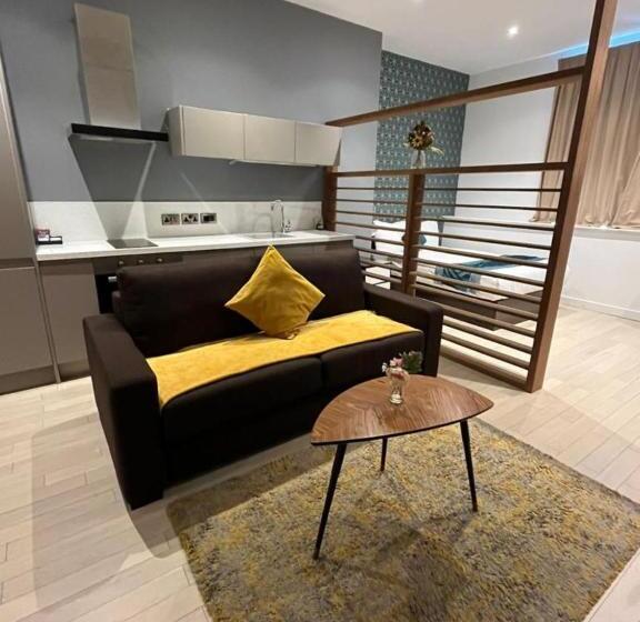 디럭스 스튜디오, Terlon Apartments