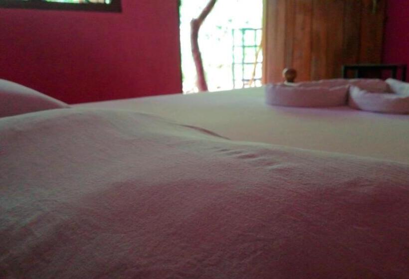 اتاق اکونومی یک تخته, Blue Sky Guest House Dambulla