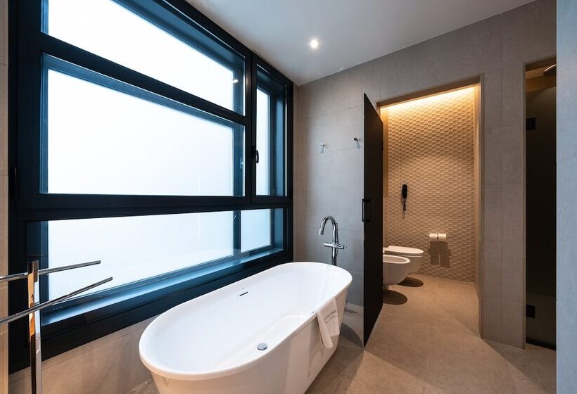 Номер Superior с Террасой, Catalonia Barcelona Plaza