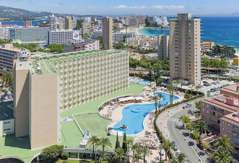 家庭海景房, Sol Guadalupe